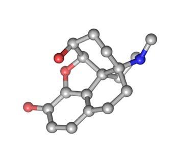 + de 200 anos da morfina Seu derivado