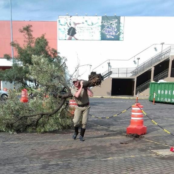 ou de seus colegas, executando suas funções em seu ambiente de trabalho.