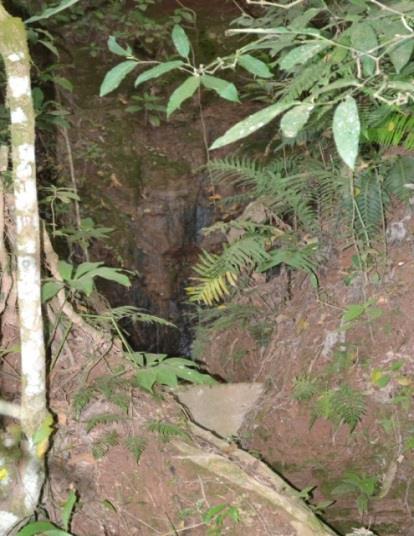 As amostragens de água foram realizadas em 4 nascentes urbanas de Araxá, MG, nos meses de março e agosto de 2015.