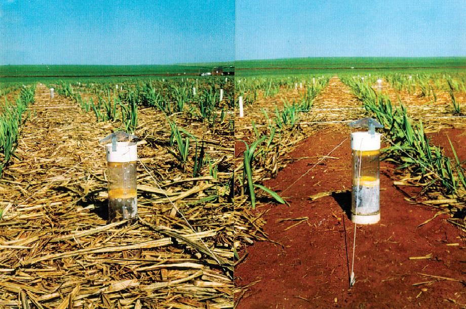 expressar perdas reais, em condições de campo. Figura. Coletores semi-abertos estáticos para quantificar a volatilização de NH 3 de fertilizantes nitrogenados. Fonte: LARA-CABEZAS e TRIVELIN (990).