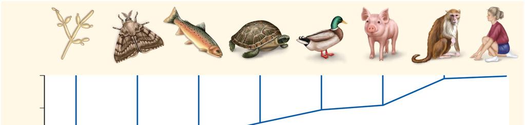 Número de aminoácidos diferentes comparado ao citocromo c humano 0 10 20 30 40 50 fungo mariposa peixe tartaruga pato porco macaco humano O citocromo c é uma