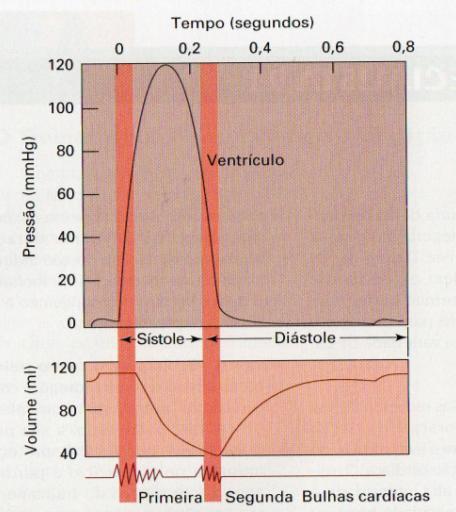 parede vascular, sendo expressa em mm hg Pressão