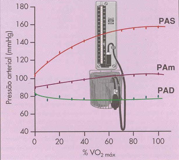 Pressão arterial Pressão arterial média PAM = PAD + [0,33 (PAS PAD)] Tempo do