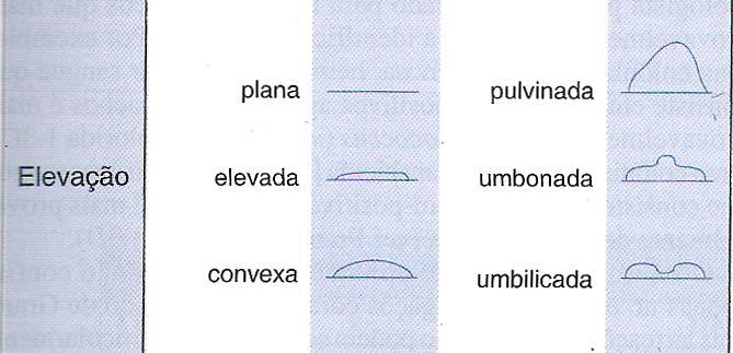 Avaliação