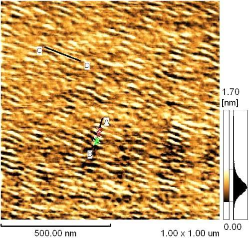 5: Imagem de microscopia de força atômica e análise de perfil para as amostras (a,c) CoCω0(α = 32 ) e (b,d) CoCω0(α = 55 ) nas regiões indicadas pelas retas A-B e C-D. Tabela 4.