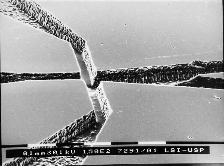 Corrosão anisotrópica de silício por plasma Microcanais definidos em silício - corrosão com plasma (SF 6 + Ar) de alta densidade: