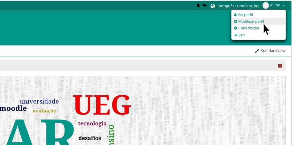 Na manutenção das informações do perfil há campos obrigatórios, escritos em vermelho e marcados com um asterisco *, e outros campos opcionais, que você pode preencher ou selecionar