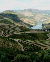 Projecto National Geographic Society no Douro 10:00h Sessão de abertura Presidente da Câmara Municipal de Alijó Dr. Artur Cascarejo Presidente da Turismo do Douro Dr.