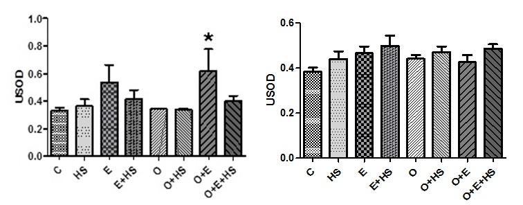 C, Controle (n=6); HS, Choque Térmico (n=6); E, Exercício (n=6); E+HS, Exercício + Choque térmico (n=7); O, Obeso (n=6); O+HS, Obeso + Choque térmico (n=6); OE, Obeso Exercício (n=6) e OE + HS, Obeso