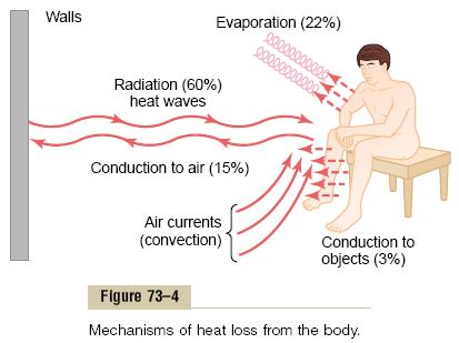 Dissipação de Calor Objeto Evaporação (22%) Radiação