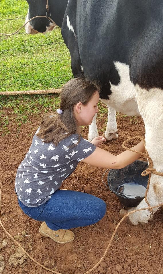 54 conta de mamar tudo no início. Com o passar dos dias, não se fez mais necessário a esgota e os bezerros e as vacas foram soltas em outro piquete onde devem permanecer até o momento da desmama.