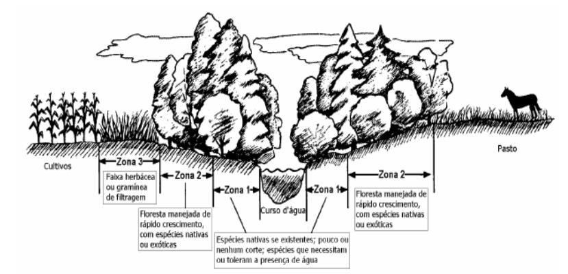 IDENTIFICAÇÃO E CARACTERIZAÇÃO DA COMPOSIÇÃO RIPÁRIA... 51 100m, 170m, 210m e 250m, relacionando a observação das condições das faixas de vegetação ripária, como apresentadas na Figura 1.