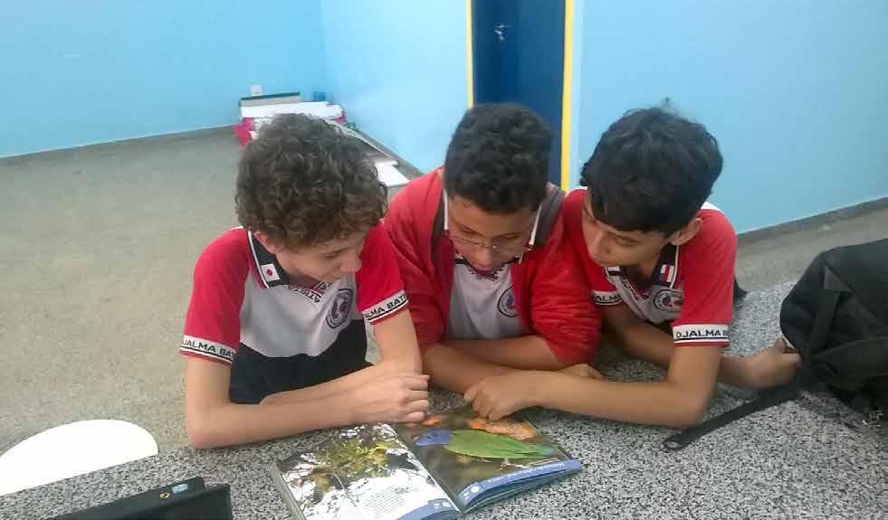 Figura 5. Os alunos observando e identificando as aves na área da Escola Professor Djalma da Cunha Batista, Manaus, Amazonas. Foto: Renata Xavier.