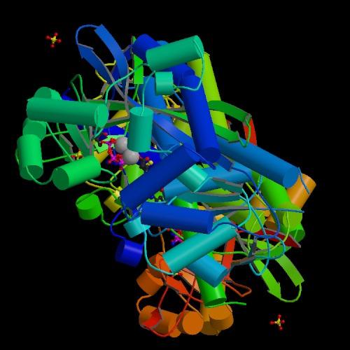 h-receptors p.d. e 82 GPCR s.