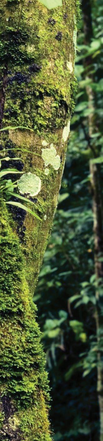 reverse hd porcellanato A Coleção Reverse HD apresenta uma releitura de materiais encontrados na natureza que se fundem para formar uma estética inusitada e arrojada.