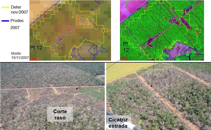 Coordenadas: S 12,43 o ; W 55,2 o DESCRIÇÃO PONTO 12 Classificação: Degradação l - Intensidade Alta estrada estrada Perda parcial do dossel