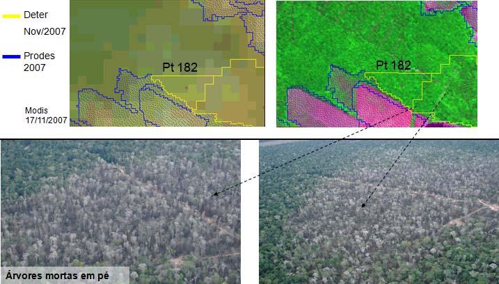 Coordenadas: S 12,11 o ; W 55,06 o DESCRIÇÃO PONTO 182 Classificação: Degradação l - Intensidade Alta DE USO Cicatriz de fogo florestal e solo exposto Regeneração/ solo exposto