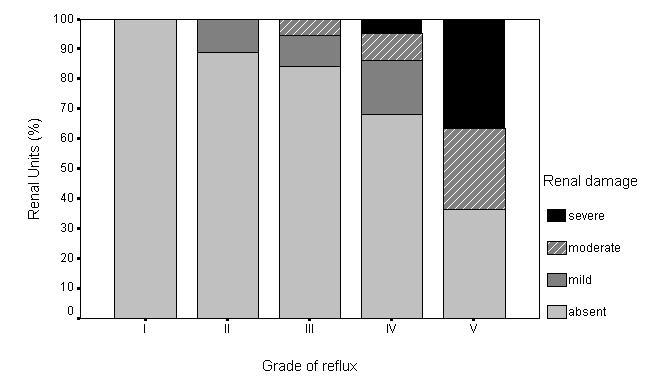 renal