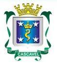 MUNICÍPIO DE CASCAVEL ESTADO DO PARANÁ DECISÃO DOS RECURSOS (INFRARRELACIONADOS) I DOS RECURSOS Trata-se de recursos interpostos pelos candidatos infrarrelacionados concorrentes ao cargo