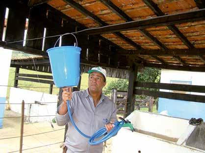 Lave os tetos com água clorada Para lavar os tetos, prenda o balde em um ponto