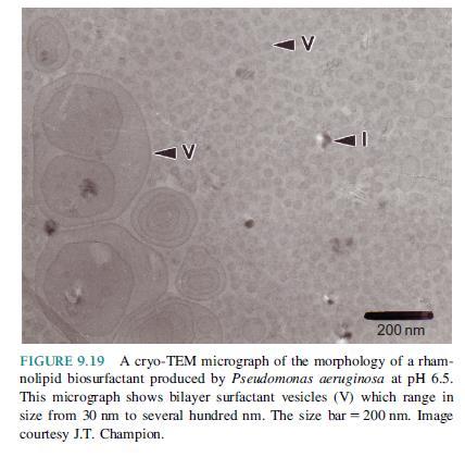 Tendências recentes em Biorremediação: Surfactantes Utilização de surfactantes Aumentando da solubilidade e dispersão de compostos orgânicos em água Alterando a