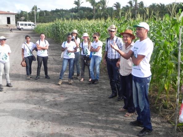 Discussão de estratégias de cultivo e divulgação das possibilidades de avanço junto a produtores de coco e citros, nos municípios de