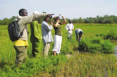 Um 2º grupo-alvo do Eixo de Apoio Institucional recaiu sobre os OCS privados, públicos e comunitários, tendo todo o apoio sido desenhado na base do estudo Os Media na Guiné-Bissau.