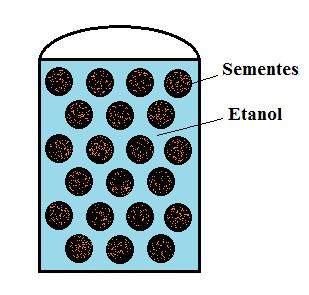 4 MODELAGEM DO RENDIMENTO DE ÉSTERES Neste capítulo serão apresentadas as considerações físicoquímicas, termodinâmicas, o balanço das espécies químicas e método de solução para modelagem matemática