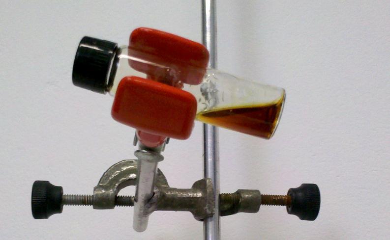 94 Figura 19 Fotografia do éster obtido após evaporação do etanol.