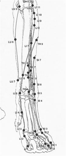 Superfície medial do rádio, 1,5 tsun acima da prega do punho, proximal ao processo estilóide P7 IG6 Pian