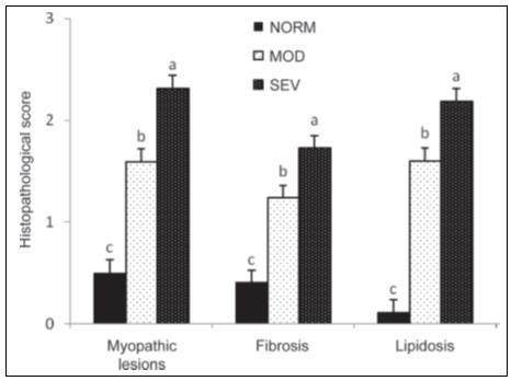 24 Figura 10 - Influência dos escores histopatológicos nas lesões da miopatia, fibrose e lipidose em peitos de diferentes graus de WS (n = 20).