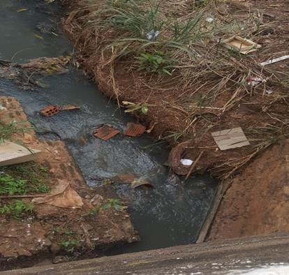 reconhecimento do sistema de coleta de esgoto da cidade. Na Figura 1 está ilustrada a cidade de Campo Florido e demarcação do principal curso d água que corta a cidade, Ribeirão Douradinho.