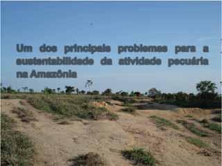 fronteira agrícola Degradação de pastagens Um dos principais problemas para a