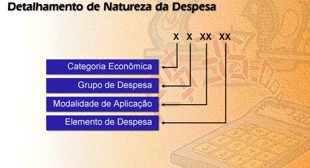 Sobre o Detalhamento da Natureza de Despesa NDesp, deve-se lembrar que esta desdobra-se em: Categoria Econômica, Grupo de Despesa, Modalidade de Aplicação e Elemento de Despesa.