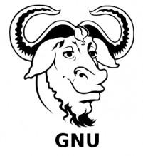 - Em 1984, Stallman começou a desenvolver o seu SO, batizado de Projeto GNU (Gnu Not Unix).