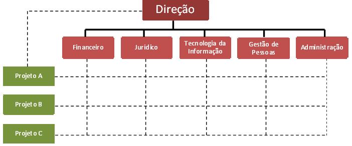 Pode ser definida, também, como a combinação da abordagem divisional com a funcional, ou então, conforme o tipo mais comum, a combinação da departamentalização funcional com a de projetos.