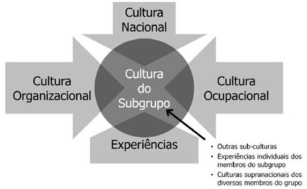 7.5. Tipos / Modelos de Cultura 7.5.1. Cultura Dominante, Subculturas e Contracultura As organizações, em sua maioria, possuem uma cultura dominante e diversas subculturas.