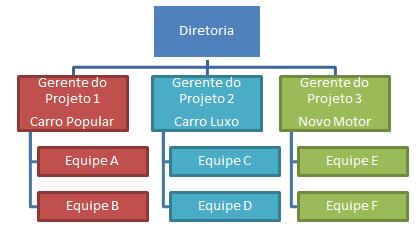 As organizações por projeto em geral possuem outros departamentos, mas esses grupos se reportam diretamente ao gerente de projetos ou oferecem serviços de suporte para os diversos projetos.