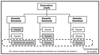 gerente. Matriz Forte: Possui muitas das características da organização por projeto.