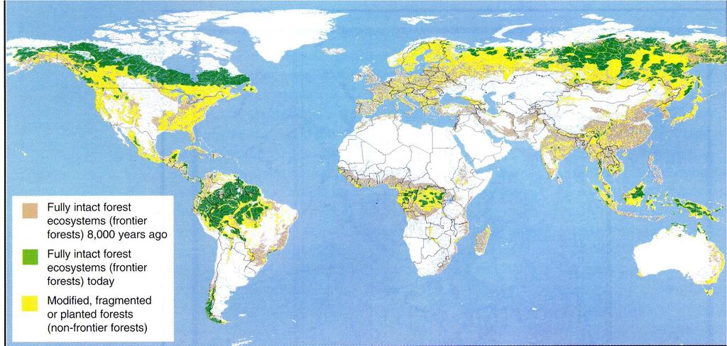 > 50% da terra está diretamente