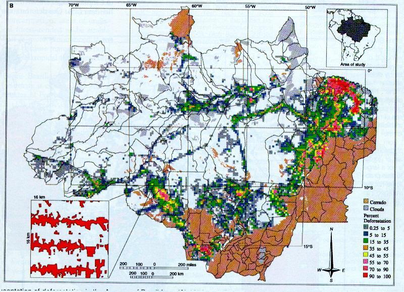 Taxa de desmatamento em 2008