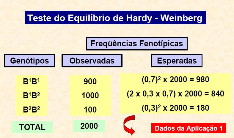 seguintes valores: M=30%, MN=50% e N=0% a) Quais as freqüências dos alelos M e N dessa amostra?