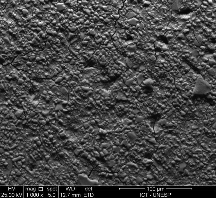 37 Figura 20 - Imagem representativa do aspecto topográfico do cimento de Ionômero de