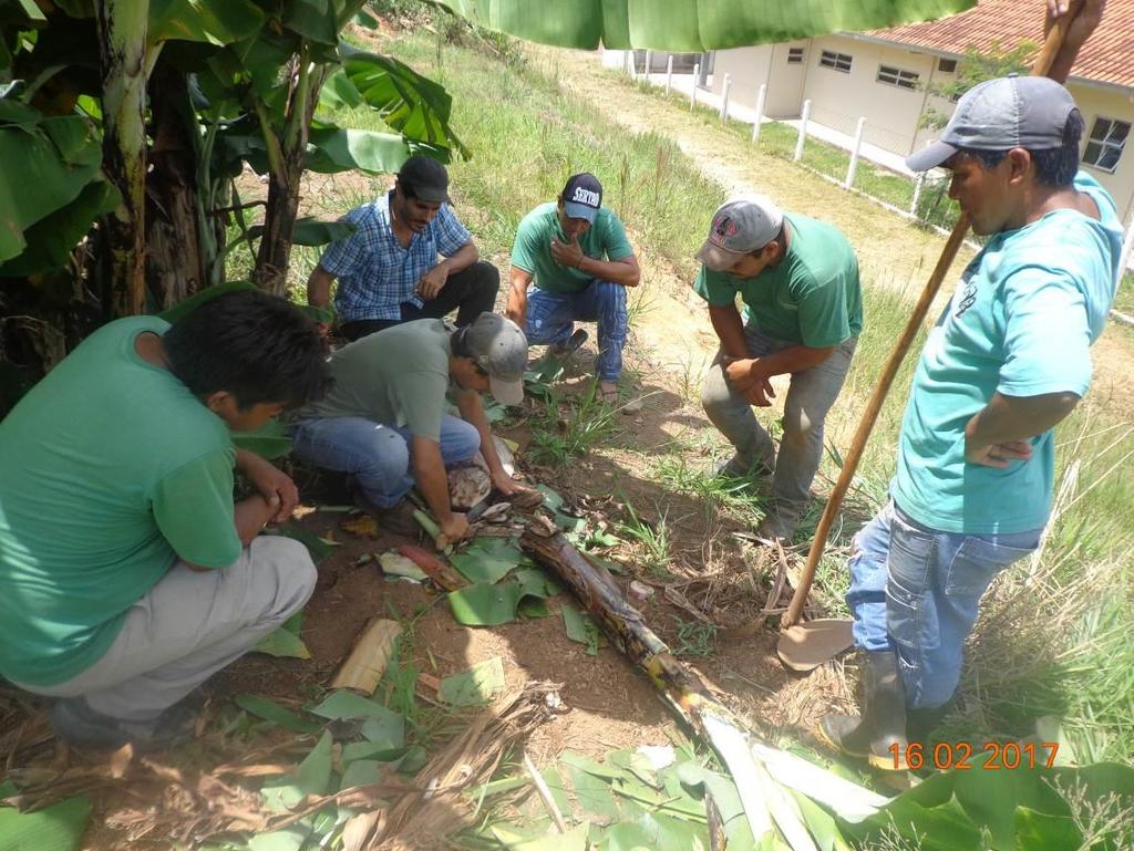 indígenas sobre produção orgânica