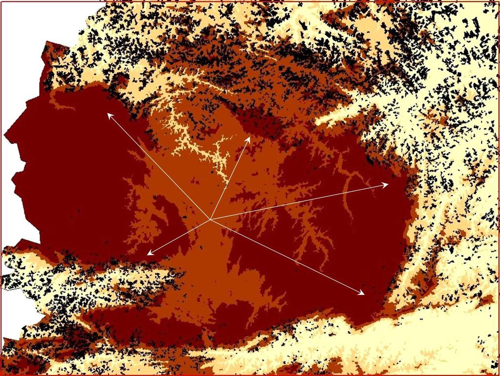 café ao mapa de altimetria em detalhe a ausência