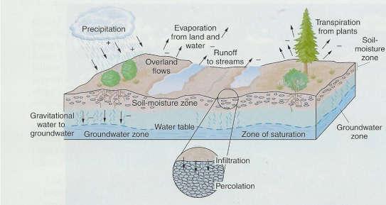 Textura Fertilidade Cor Morfologia