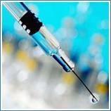 Vacinas contra o HPV Brasil, agosto de 2006: Aprovação