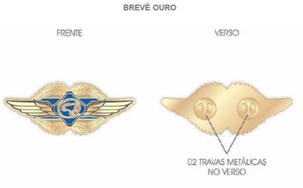 1.2.1. Dimensões: 7 cm (comprimento) x 2,5 cm (largura); 1.1.2.2. Asas na cor amarela nas dimensões: 7 cm (comprimento) x 0,7 cm (largura); 1.1.2.3.