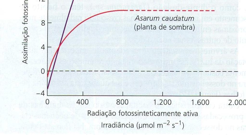 ALTAS E BAIXAS IRRADIÂNCIAS Ponto de compensação: fotossíntese líquida da planta é nula Plantas hortícolas (20 a 40 µmol m -2 s -1 ) Ponto de saturação: não há aumento na fotossíntese da planta