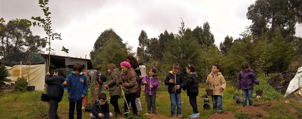 As actividades consistiram numa visita ao berçário de plantas do Monte Trigo, seguindo-se a plantação de árvores.